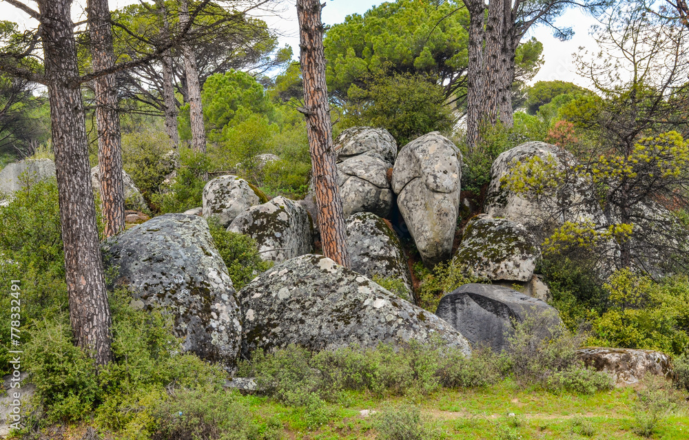 pines and granite boulders in Ida Madra Geopark on Kozak plateau (Hisarkoy, Izmir region, Turkey) pines and granite boulders in Ida Madra Geopark on Kozak plateau (Hisarkoy, Izmir region, Turkey)
