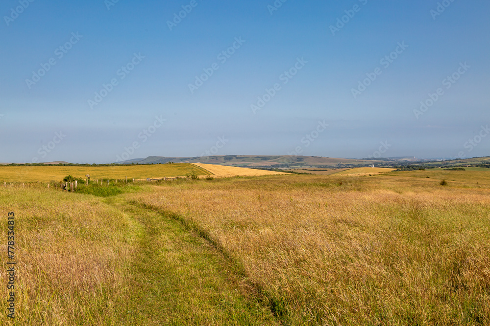 A grass pathway through the Sussex countryside, on a sunny summer's day
