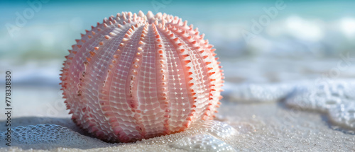 Pristine sea shell on sandy beach with sea foam, a symbol of ocean's tranquility and beauty