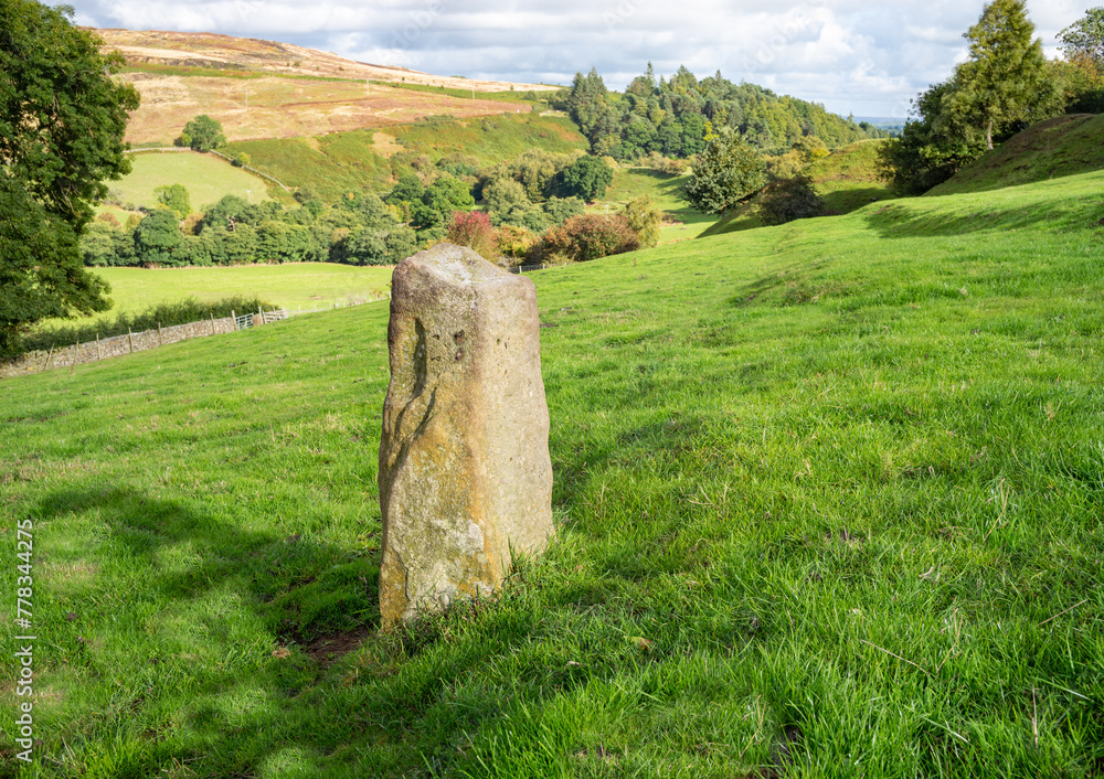 Scale Cross - Ancient stone at the North York Moors Scale Cross - Ancient stone at the North York Moors