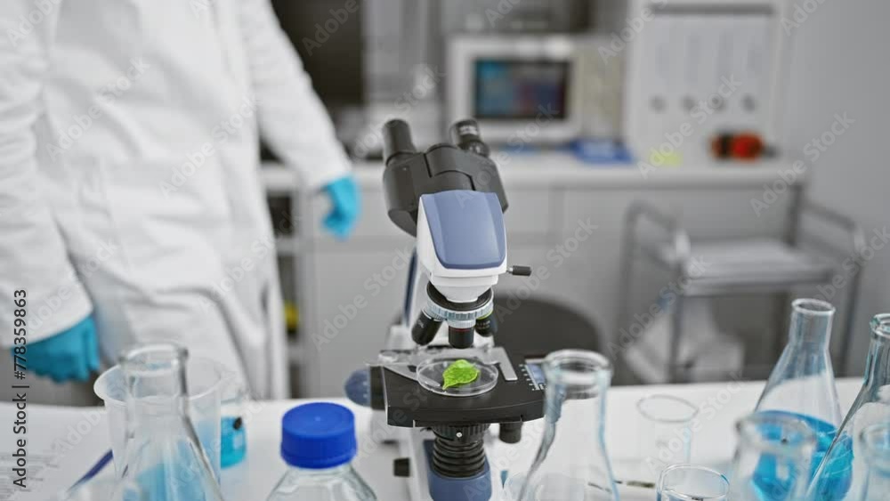 A focused scientist examines plant samples under a microscope in a modern laboratory. A focused scientist examines plant samples under a microscope in a modern laboratory.