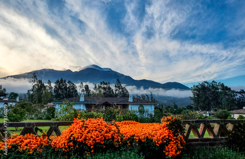 Fototapeta Naklejka Na Ścianę i Meble -  View of Mountain in Cotacachi Ecuador Orange flowers 