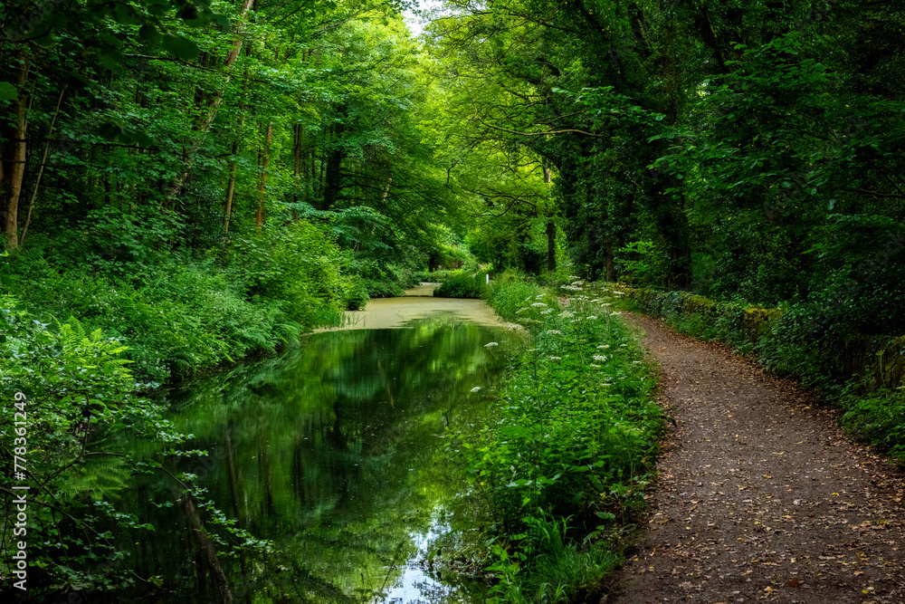 Naklejka premium Footpath by a very green Cromford Canal in Whatstandwell near Matlock in Derbyshire, England