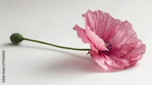  A pink flower sits atop a white table, next to a green stalk of broccoli