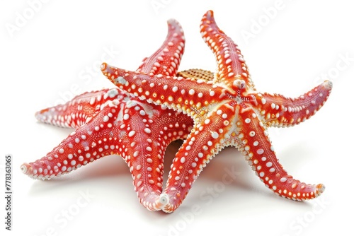 Isolated red starfish against a white backdrop. Generative Ai