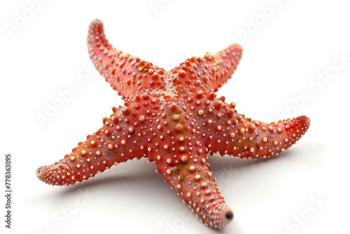 Isolated red starfish against a white backdrop. Generative Ai