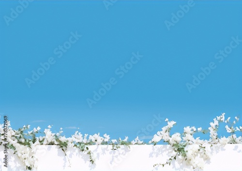 White flowers hanging on a white wall under a clear blue sky, photography, minimalist, exterior, bright