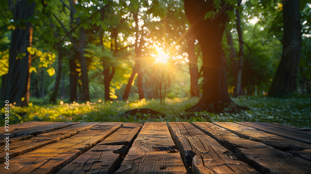 Spring Summer Beautiful Nature Background with Blurred Spring Summer Beautiful Nature Background with Blurred