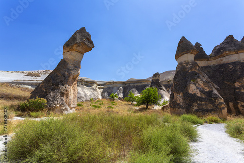 Pasabag, its famous fairy chimneys in Goreme Valley, Cappadocia