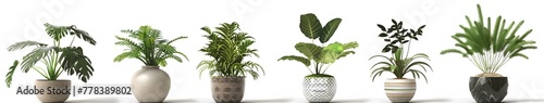 two potted plants in a white pot photo