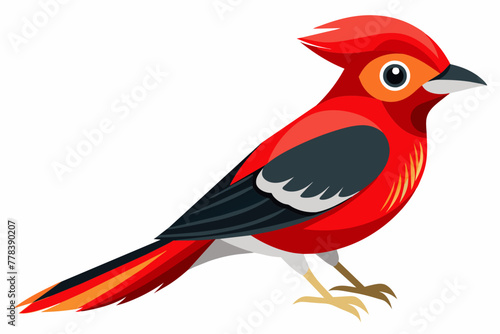 Red-headed trogon black silhouette vector design.