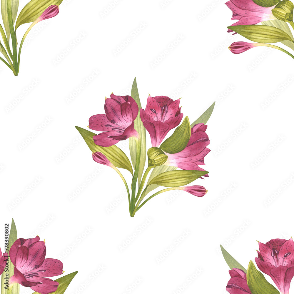Alstroemeria. Beautiful Peruvian Lilly. Seamless pattern of pink flowers with greenery. Watercolor illustration of ornament for background design, textile, packaging Alstroemeria. Beautiful Peruvian Lilly. Seamless pattern of pink flowers with greenery. Watercolor illustration of ornament for background design, textile, packaging