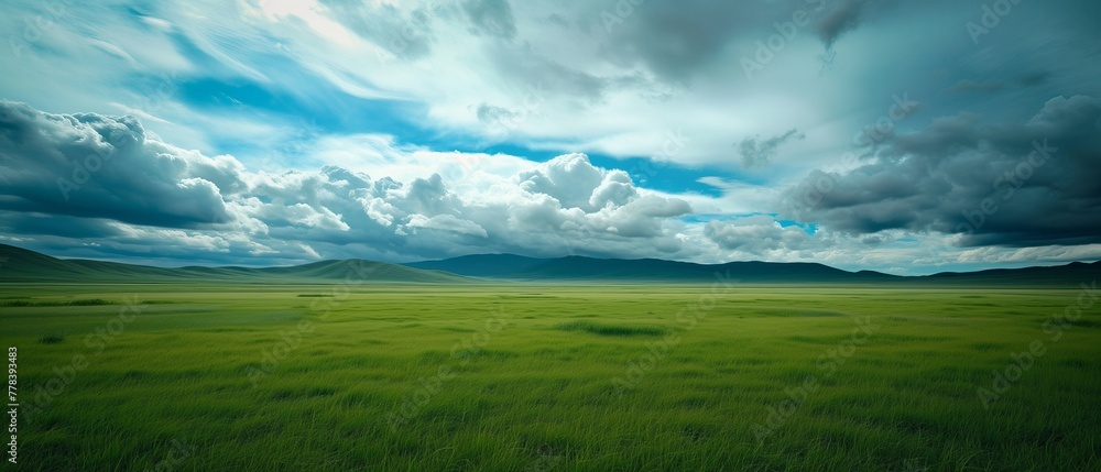 an extremely flat green grassland with a large beautiful cartoony looking dramatic cloud in the background, cloudy sky over a large green field an extremely flat green grassland with a large beautiful cartoony looking dramatic cloud in the background, cloudy sky over a large green field