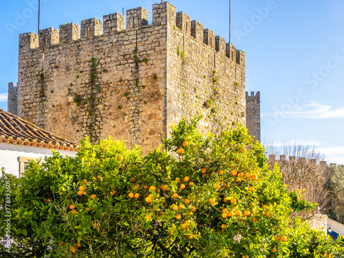 Tower of Obidos Castle in Portugal photo