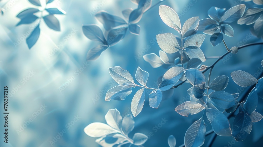 Serene Morning Sunlight Through Leaves on Pastel Blue Background. Serene Morning Sunlight Through Leaves on Pastel Blue Background.