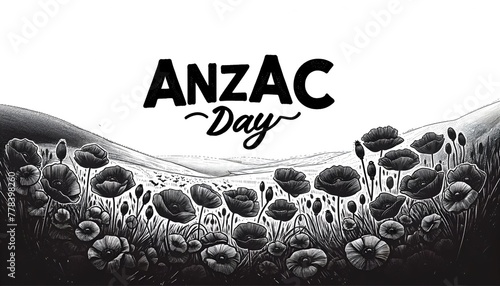 Sketchy black and white illustration of a field of poppies for anzac day.