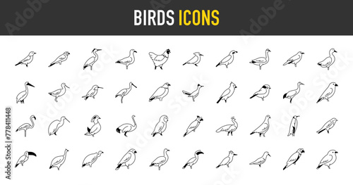 Birds icons set. Such as heron, peacock, crane, duck, flamingo, avocet, eagle, falcon, hen, humming, kingfisher, kiwi, ostrich, owl, parrot, penguin, pigeon, raven, sparrow vector icons photo