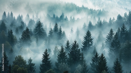 Misty Forest Landscape