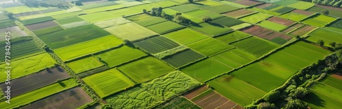 arial view of agricultural fields from above