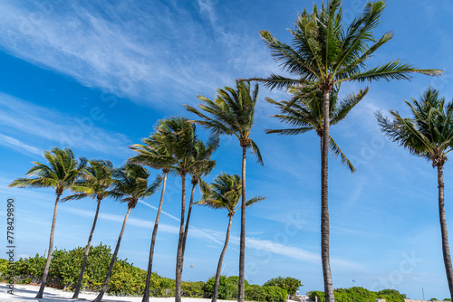 South Beach and the Art Deco Buildings in Miami Beach at Spring Break