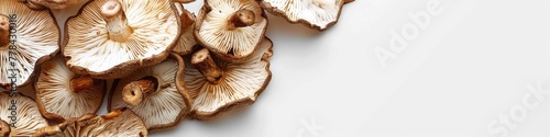Dried Mushroom on White Background. Isolated Shot of Brown, Raw, and Healthy Dried Mushrooms for Your Food Photography.