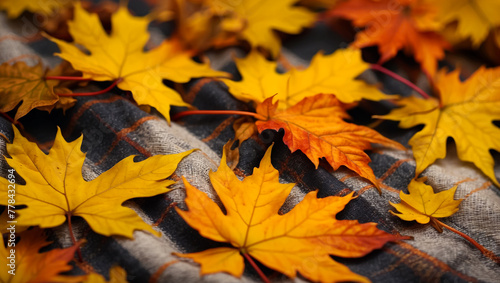 Yellow and orange maple leaves on plaid. Autumn in the park