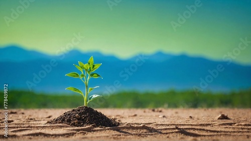 a green plant thrives in desert terrain, ecology problem solution and symbol of combating desertification against the blue sky