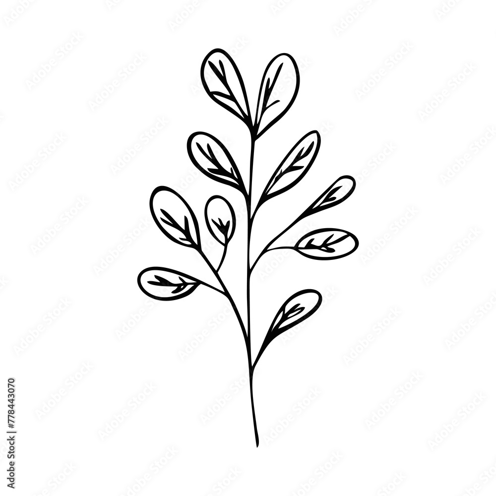 laurel branch laurel branch