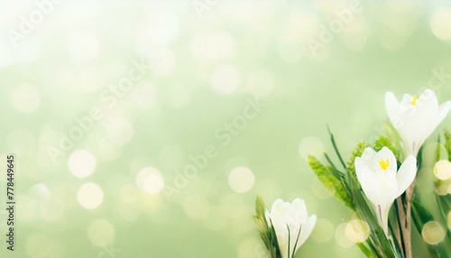 Springtime Sparkle: Green Blurred Bokeh Lights Illuminate Abstract Banner