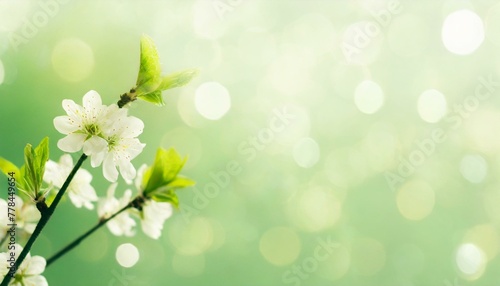 Tranquil Treasures: Abstract Banner with Green Blurred Bokeh Lights