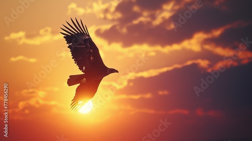 Majestic Eagle in Sunrise