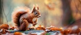 Autumnal Red Squirrel Sanctuary. Concept Nature Preserve, Wildlife Conservation, Fall Foliage, Cute Squirrels, Environmental Awareness
