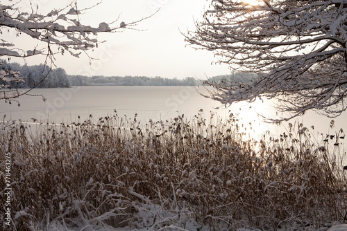 The beauty of a winter's day is on display in this image of Bernardine Lake in Trakai, Lithuania. The sun shines brightly overhead, casting a warm glow on the snow-covered landscape.