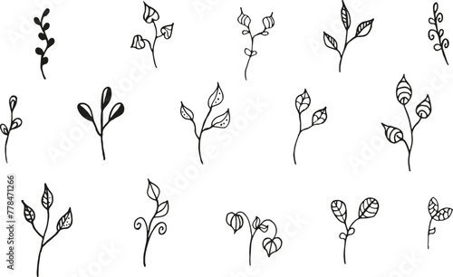 Collection of doodle twigs. Hand drawn vector illustration.