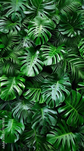 The ground is covered with tropical green leaves  