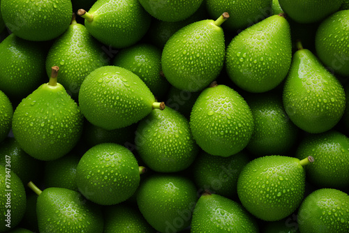 A bunch of green avocados with water droplets on them photo