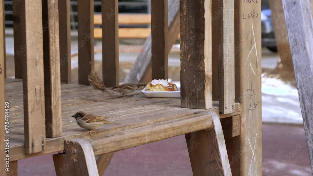 Sparrow birds are pecking at pieces of cake on a plate, while gathering on a wooden construction in the park. Sparrow birds are pecking at pieces of cake on a plate, while gathering on a wooden construction in the park.