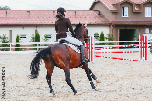 Rider on the course from the back. Horse pass the line to barrier. Equestrian sport. Gallop of a dark tail bay horse