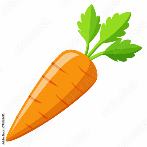 Carrot Vector Illustrations Elevate Your Designs