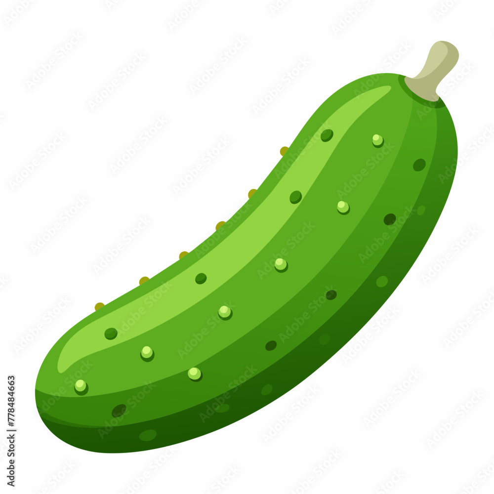 Cucumber Isolated on White Background Cucumber Isolated on White Background