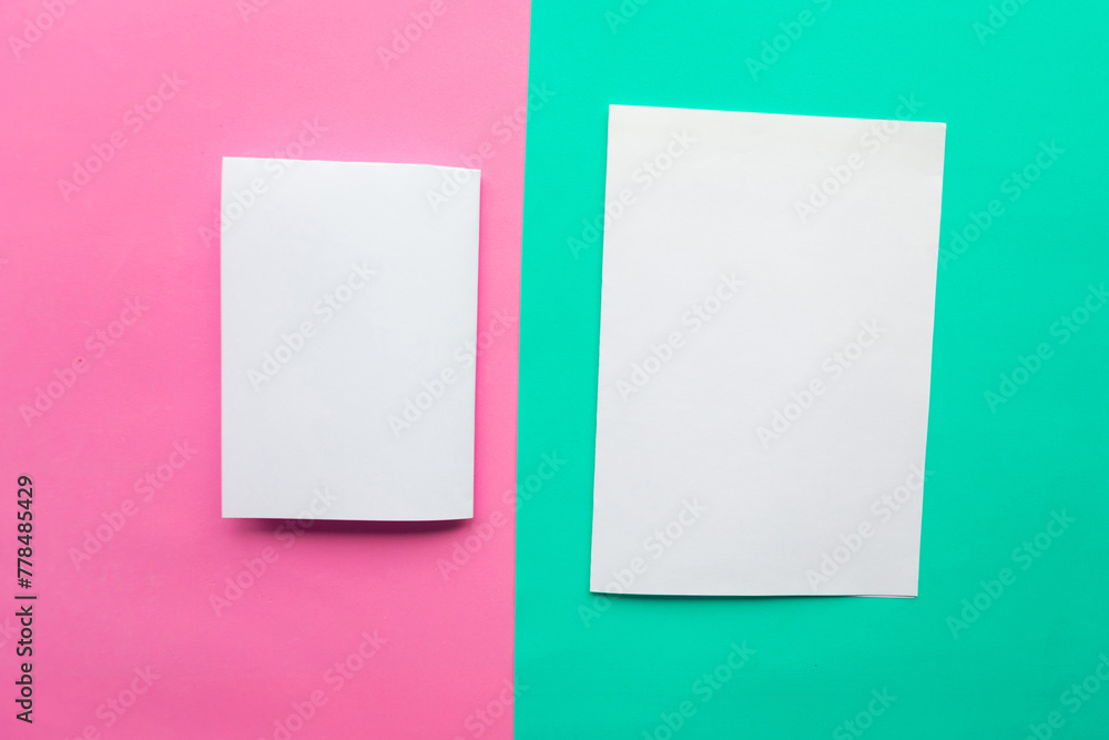 Two white mockup blanks on pink and green pastel background. Copy space for the text. Minimal concept