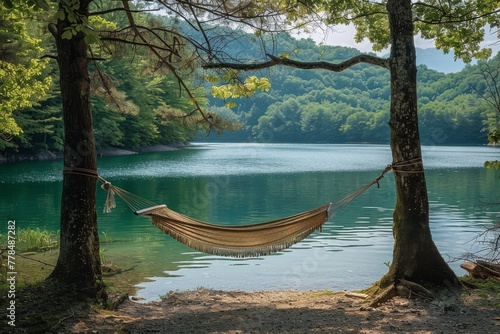 Hammock Hanging Between Two Trees by Lake