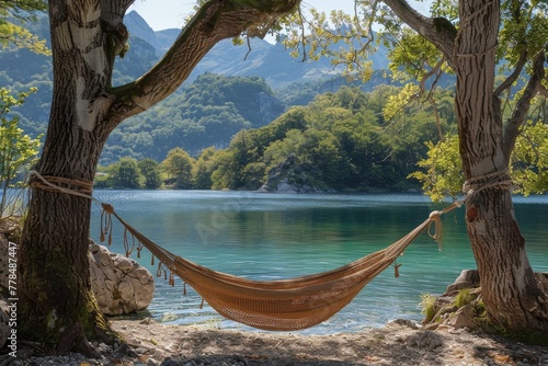 Hammock Hanging Between Two Trees by Lake