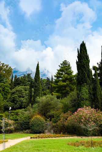 View of the garden and blue sky with mountains