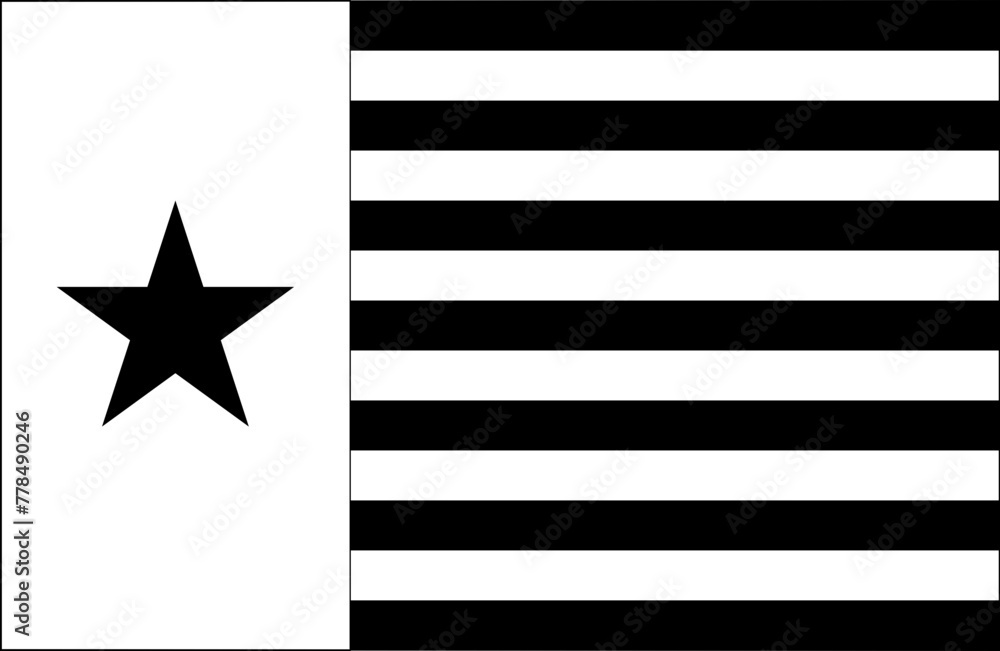 County Flag, Texas, state, of, vector svg, line art, cut file, black