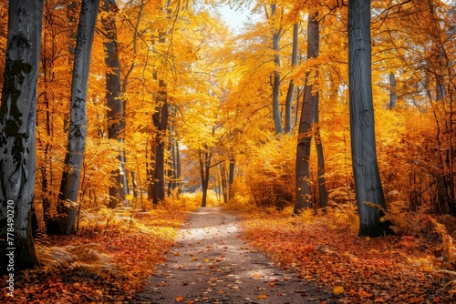 Vibrant Autumn Forest Landscape with Golden Foliage  Colorful Fall Season