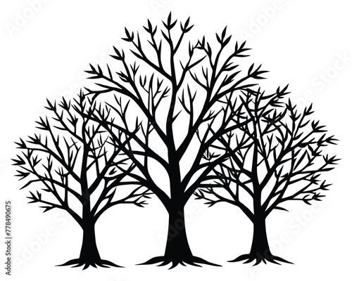 Nature trees outline vector © Romana Rupa