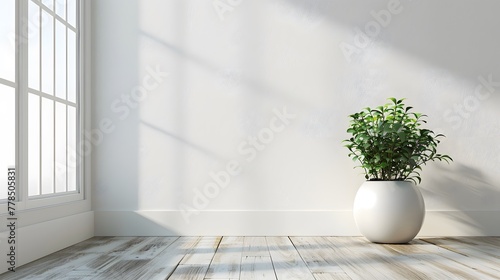 Ornamental plant on floor white. 3D Rendering 