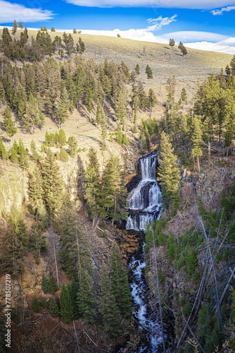 Undine Waterfall and forested mountainside in Yellowstone National Park, USA