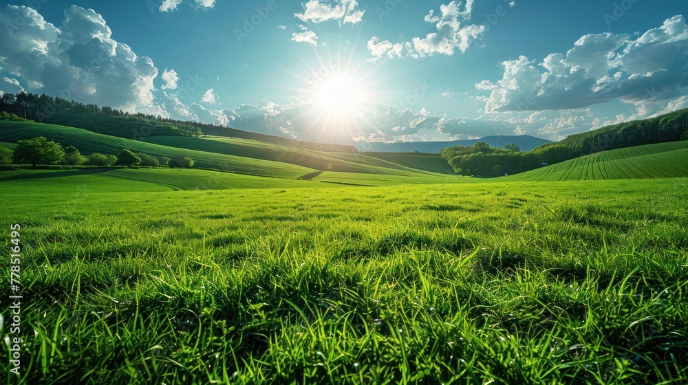 Panoramic view of beautiful natural green fields and blue sky with clouds on the horizon